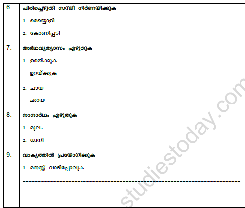 CBSE Class 8 Malayalam Question Paper Set E Solved